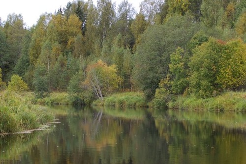 Осень в деревне или откуда берется осенняя депрессия. Ритмы природы