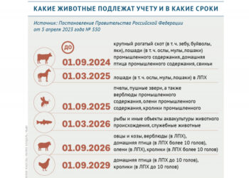 Какие животные подлежат учету и в какие сроки