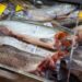 Еще два российских предприятия получили право экспортировать продукцию животноводства в Узбекистан