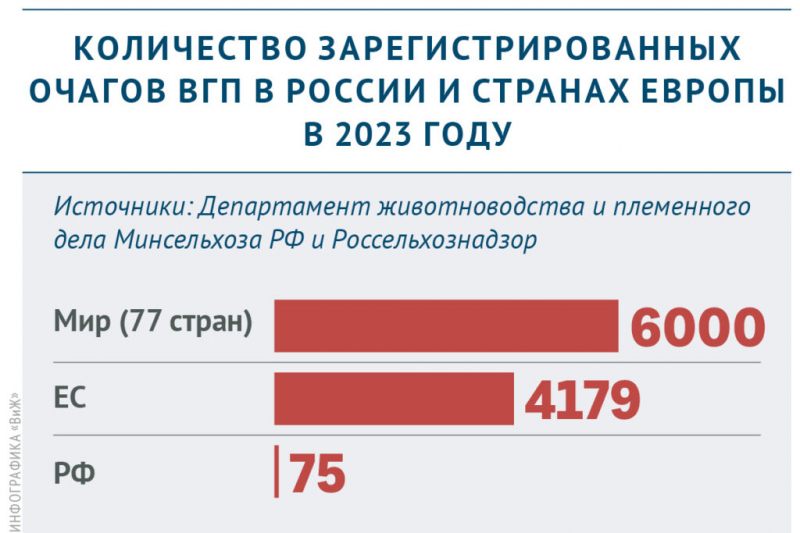 Каким птицефермам разрешат,&nbsp;а каким запретят свободный выгул птиц