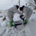 В Ленобласти прошли учения по ликвидации гриппа птиц