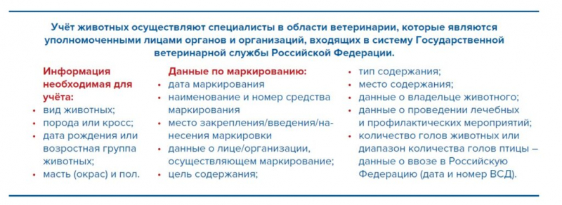 Как выбрать средство маркировки для учета скота