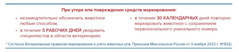 Как выбрать средство маркировки для учета скота