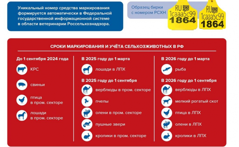 Как выбрать средство маркировки для учета скота