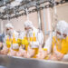 Отраслевой союз прогнозирует рост производства мяса птицы и яиц по итогам 2025 года