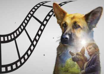 Топ кинофильмов о собаках-героях к 23 февраля