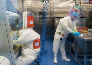 Ученые из Уханя действительно создали «искусственный» коронавирус — но не тот