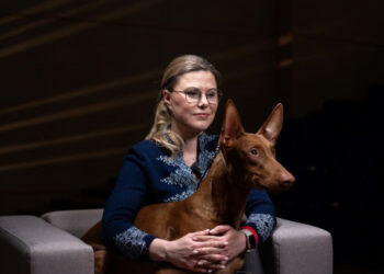 Заводчица фараоновой собаки рассказала, как вырастить чемпиона