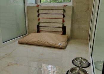 Зоогостиница “Royal Pet Palace”: роскошь и уход для ваших пушистых друзей