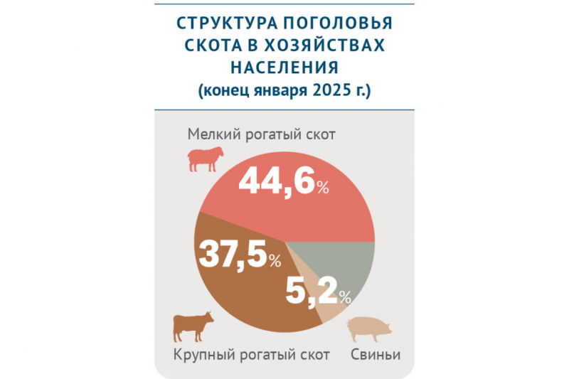 Как представители отрасли оценивают возможность введения отчетов о выбросах парниковых газов