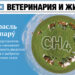 Новый выпуск «ВиЖ»: собаке — собачья жизнь, быки-гиганты и ветеринары блокадного Ленинграда
