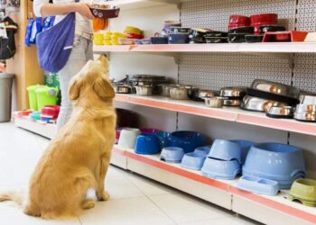 Качественные Товары для Животных с Shopozz