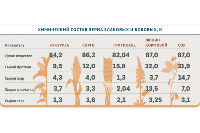 Нетрадиционные виды кормового сырья помогают увеличить продуктивность сельхозживотных