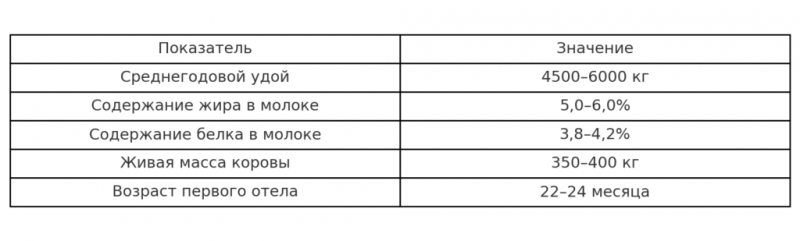 Джерсейская порода коров: описание, продуктивность и особенности ухода