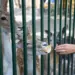Срок лицензирования зоопарков и дельфинариев в РФ могут сократить