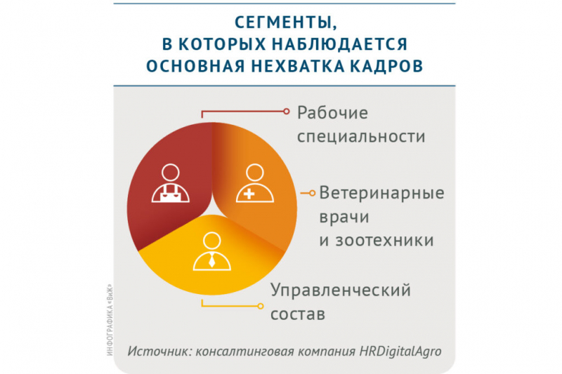 АПК остро нуждается в ветврачах и зоотехниках: профессии в списке дефицитных