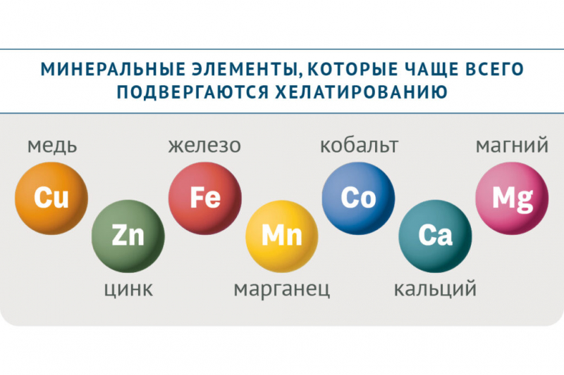 Что такое хелаты и&nbsp;как они помогают устранить дефицит питательных веществ