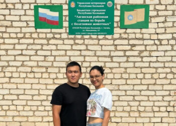 Молодые ветеринарные врачи выбирают работу на своей малой родине
