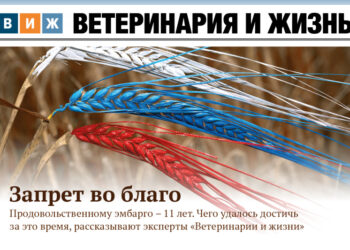 Новый выпуск «ВиЖ»: запрет во благо, дефицитный кадр и ярославские тоггенбурги