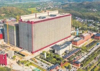 В Китае начали выращивать свиней в 26-этажных небоскребах