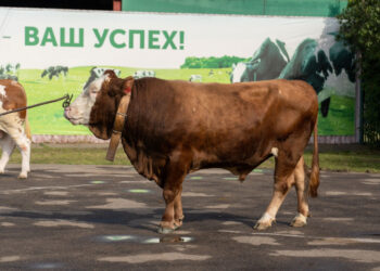 Эксперт объяснил значение американских индексов TPI и NM$ для российских фермеров