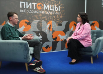 Эксперт рассказал о тонкостях анестезии в ветеринарии