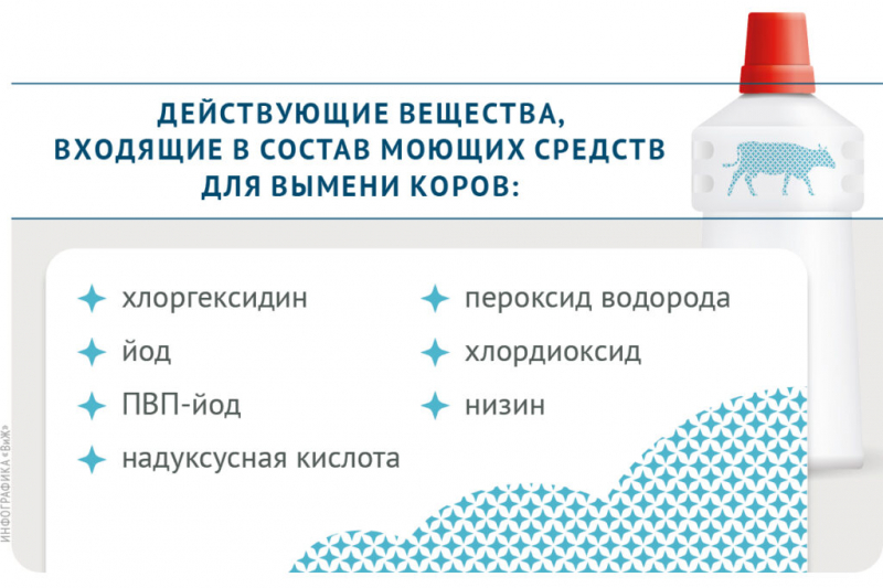 Как соблюдение правил гигиены поможет повысить качество коровьего молока