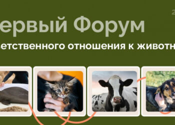 Москва примет Первый Всероссийский форум по ответственному отношению к животным и вручение премии в сфере зоозащиты