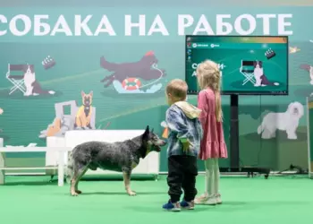 Общественники предложили привязать число питомцев в доме к наследникам