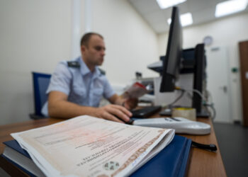 Правительство изменило правила госветконтроля