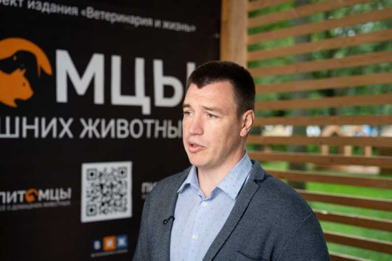 &laquo;Пушистый трон&raquo; стал одной из самых популярных фотозон на фестивале &laquo;Четыре лапы фест&raquo;