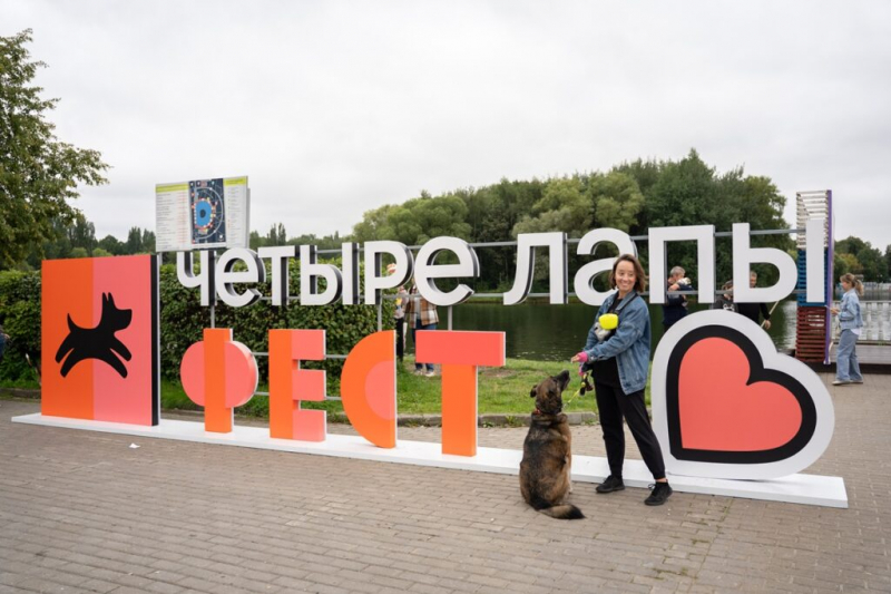&laquo;Пушистый трон&raquo; стал одной из самых популярных фотозон на фестивале &laquo;Четыре лапы фест&raquo;