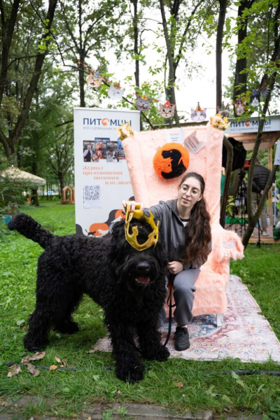 &laquo;Пушистый трон&raquo; стал одной из самых популярных фотозон на фестивале &laquo;Четыре лапы фест&raquo;