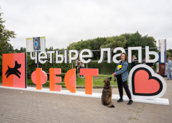 Второй день фестиваля «Четыре лапы фест» стартует в Москве — фото