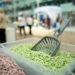 Импорт кормов для кошек и собак вырос на 12%