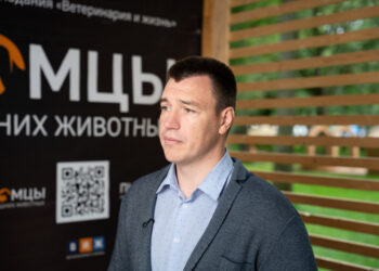 Как распознать и лечить сахарный диабет у домашних животных