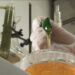 Небезопасный мед нашли в Белгородской области с помощью системы «ВетИС»