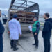 Посты ветеринарного досмотра могут внедрить на дорогах в РФ