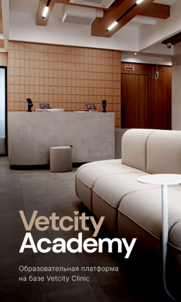 Vetcity Academy: образование, построенное на доверии, опыте и ценностях