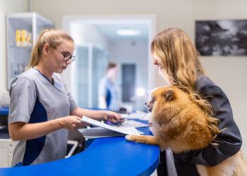 WSAVA готовит глобальные стандарты для ветеринарных клиник