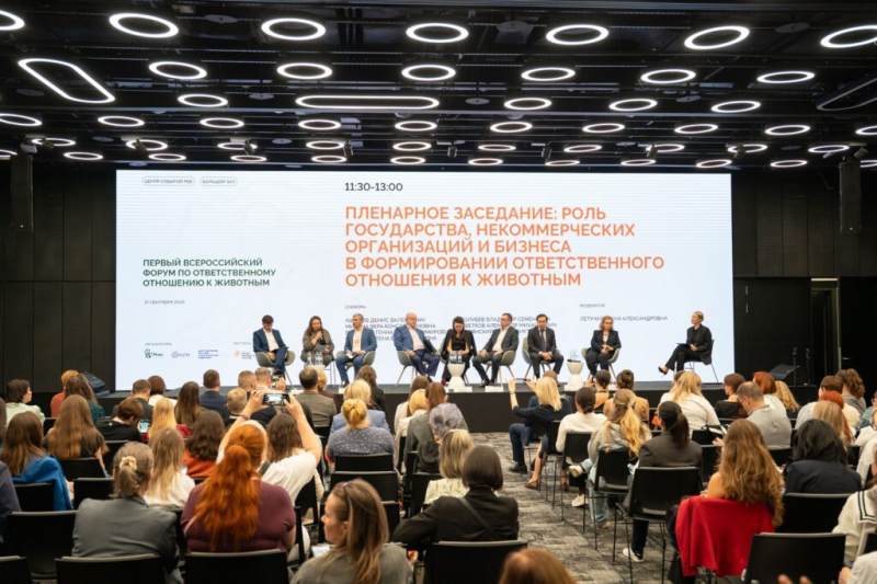 4 октября &mdash; Всемирный день защиты животных: как его отмечают в России