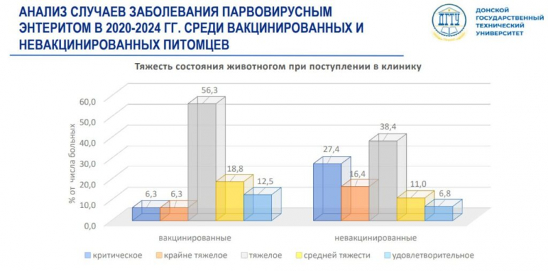 Ростовские ученые выяснили причины всплеска парвовирусного энтерита и чумы у собак в РФ