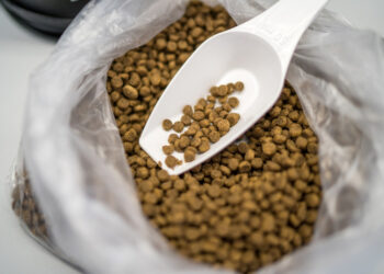 Как продавать маркированные корма на развес