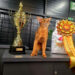 Как вырастить кота — будущего чемпиона мира: 5 советов от заводчика