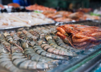 Камчатка в декабре экспортировала почти 12 тыс. тонн рыбы и морепродуктов