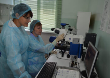 Лаборатория ВНИИЗЖ получила аккредитацию для анализов на бешенство при вывозе животных в США