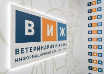 От нейросетей до клонирования: каким запомнился ветеринарии 2025 год