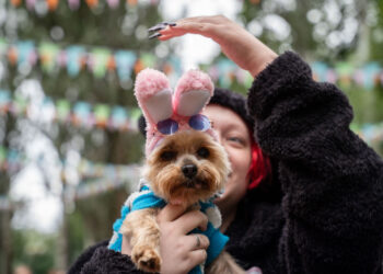 Тренды-2026: в России растет запрос на pet-friendly-услуги