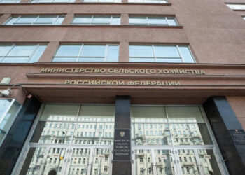 Заместителем министра сельского хозяйства России назначена Мария Маркелова