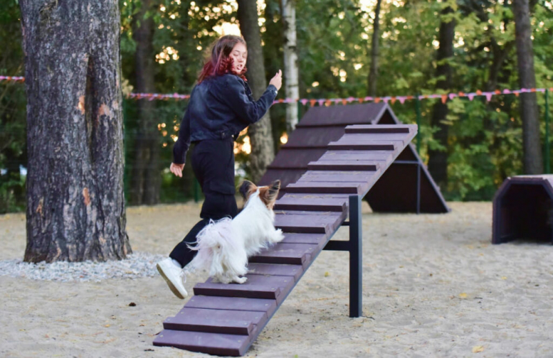 ГОСТ для pet-friendly отелей изменит путешествия с питомцами в России &mdash; интервью